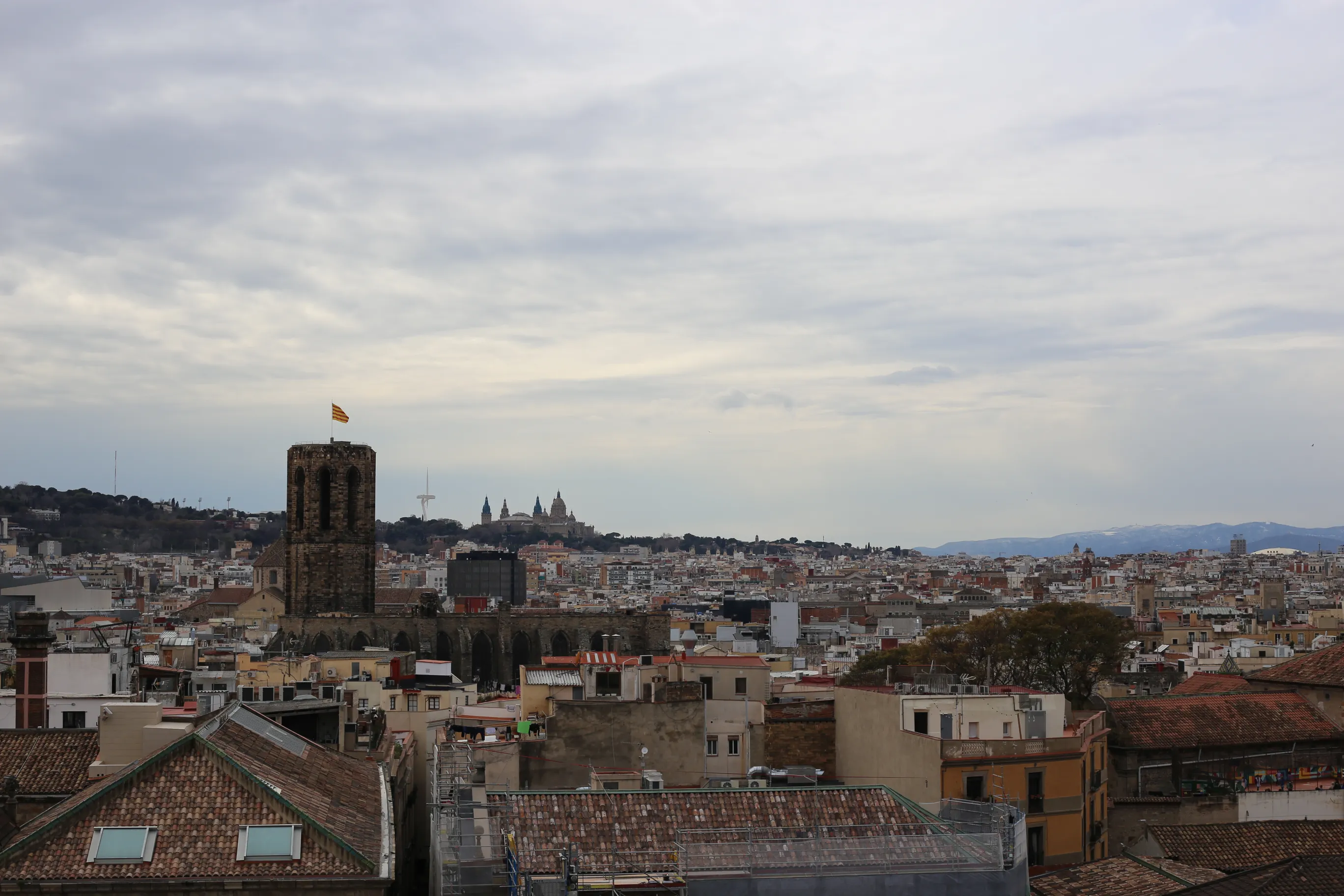 View from cathedral roof