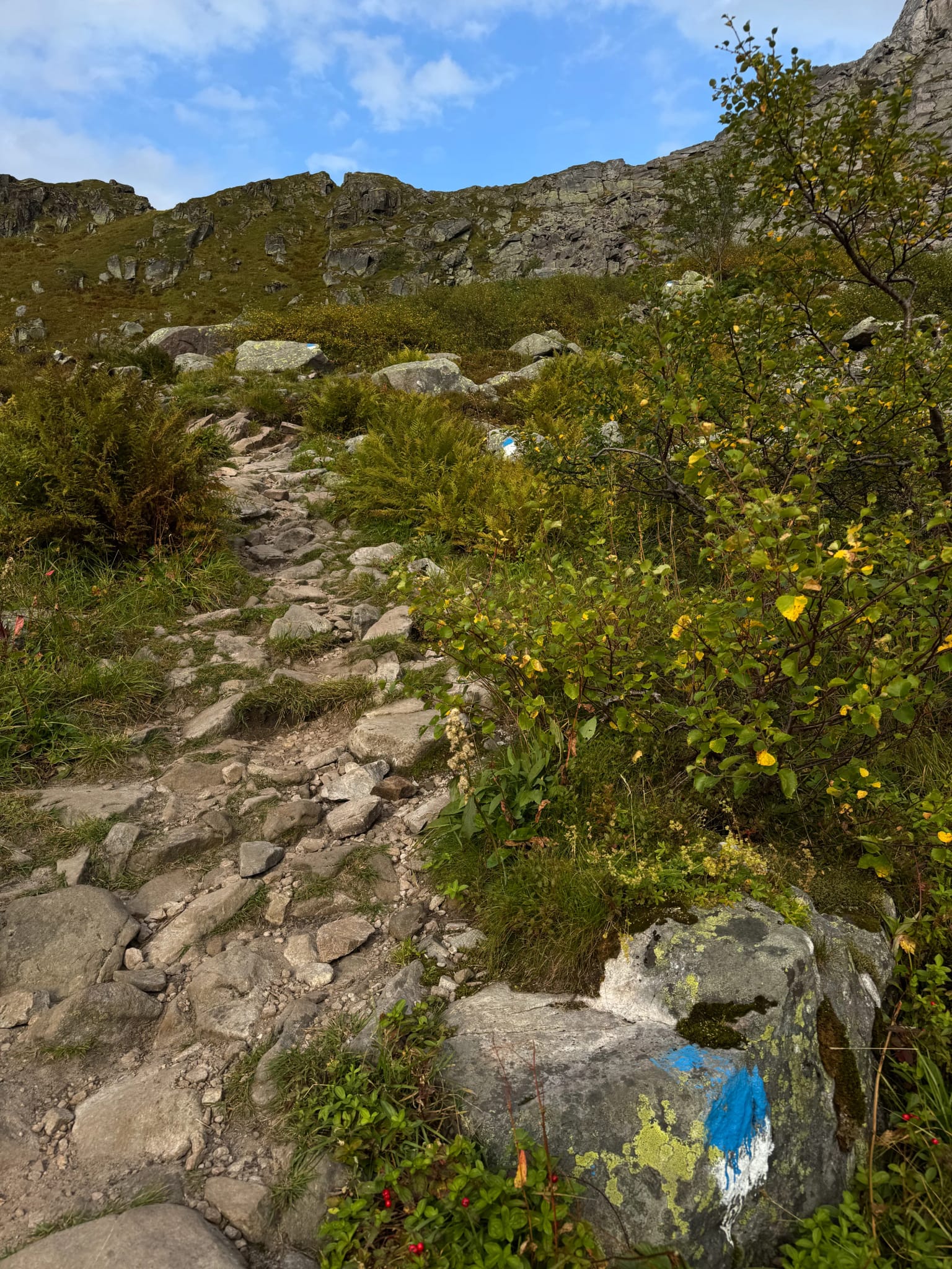 Niebieskie oznaczenia szlaku na Djevelporten