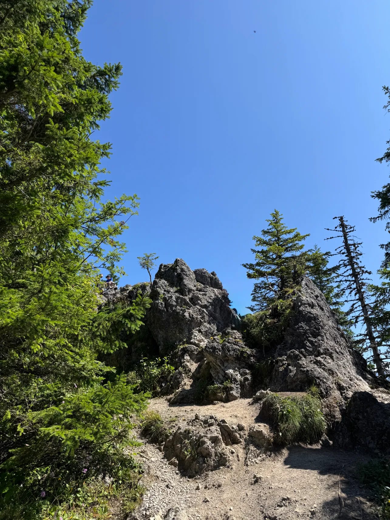 Characteristic rock formations on Gęsia Szyja summit