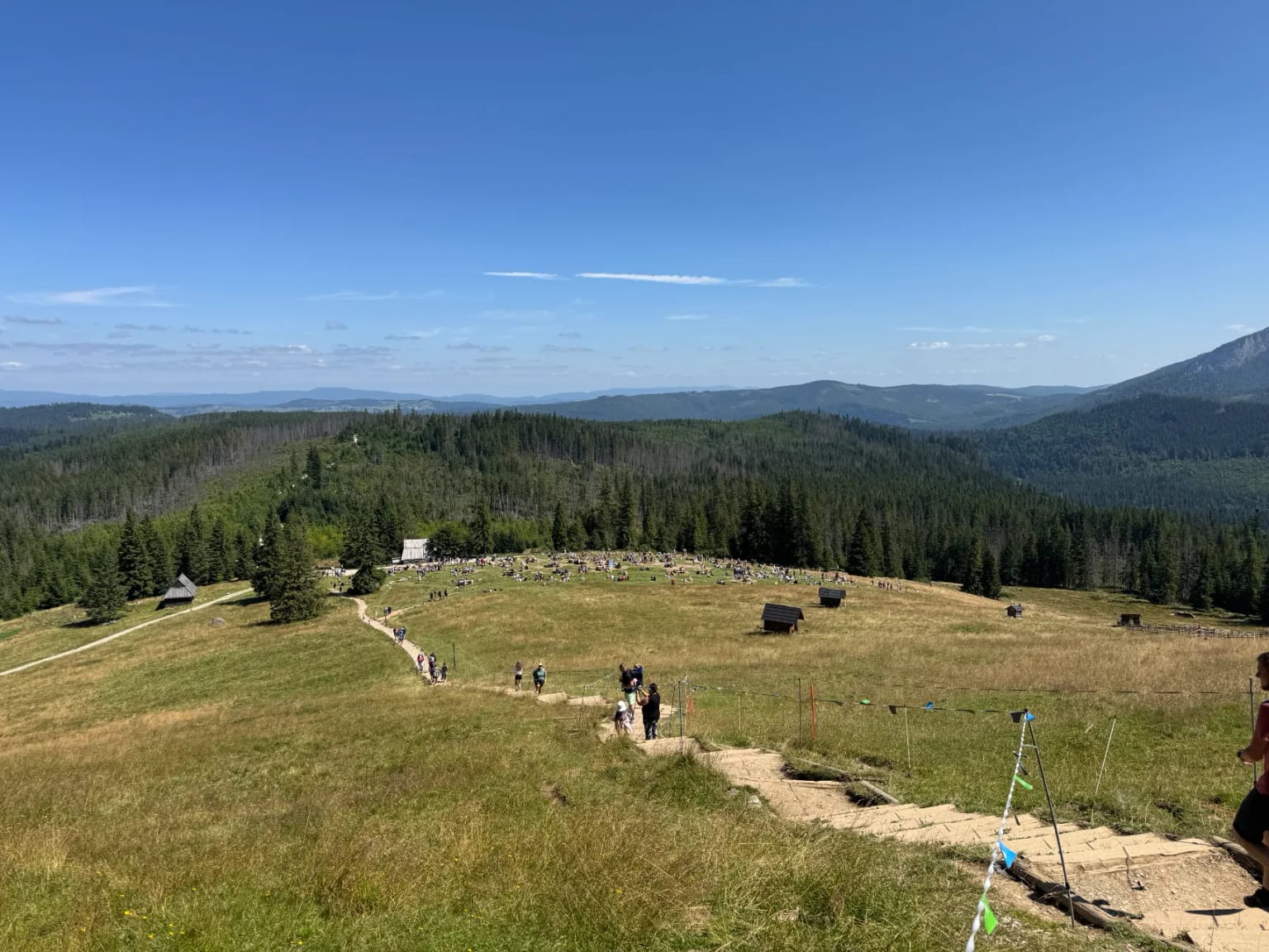 View of Rusinowa Polana meadow