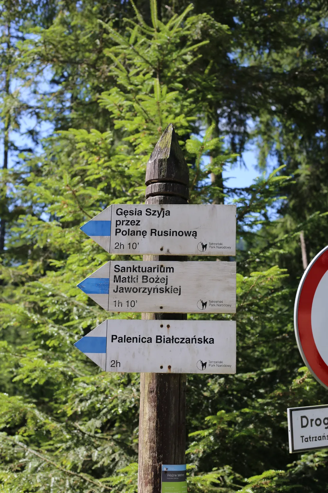 Trail signpost pointing to Gęsia Szyja