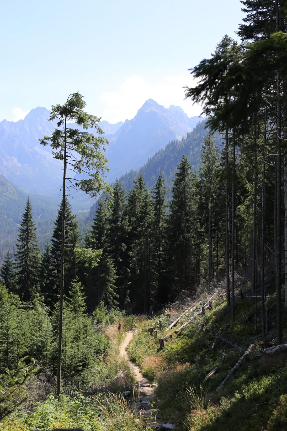 Mountain view from the trail near Gęsia Szyja