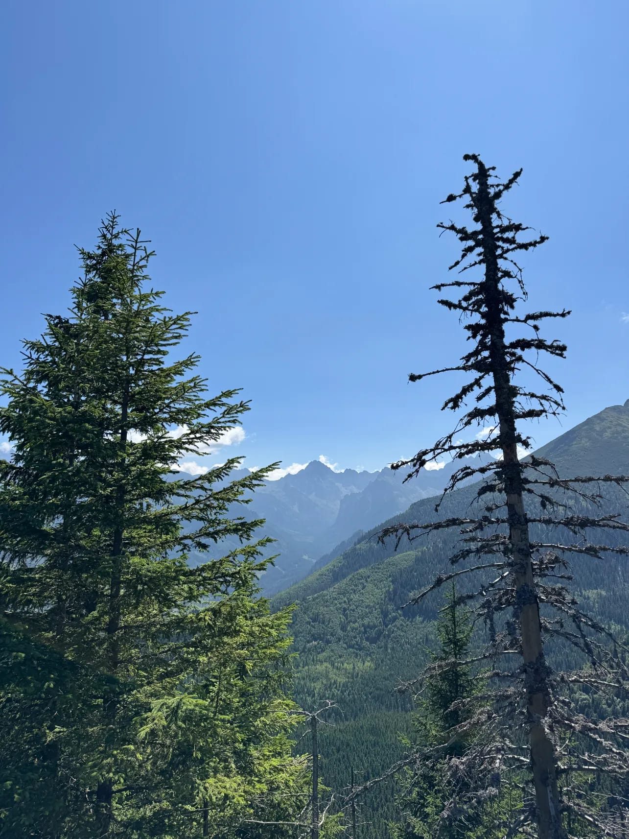 Stunning view from Gęsia Szyja peak