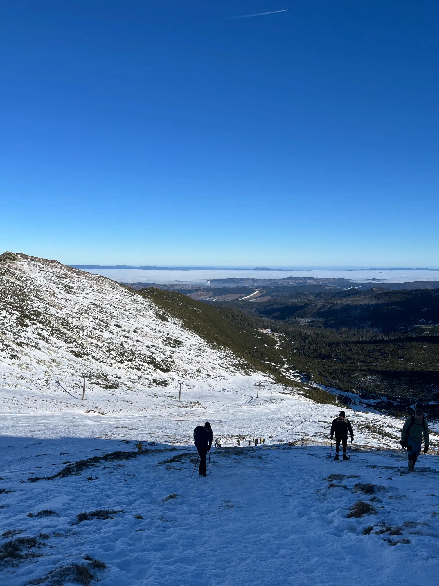Panorama from the trail