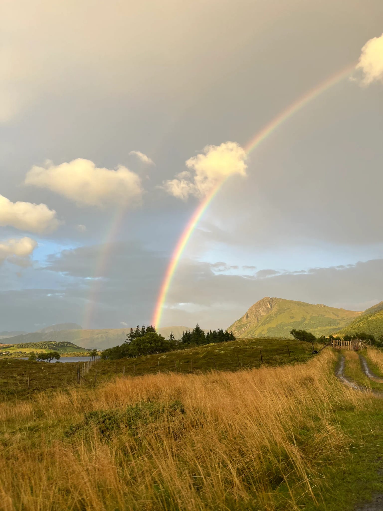 Tęcza nad Lofotami