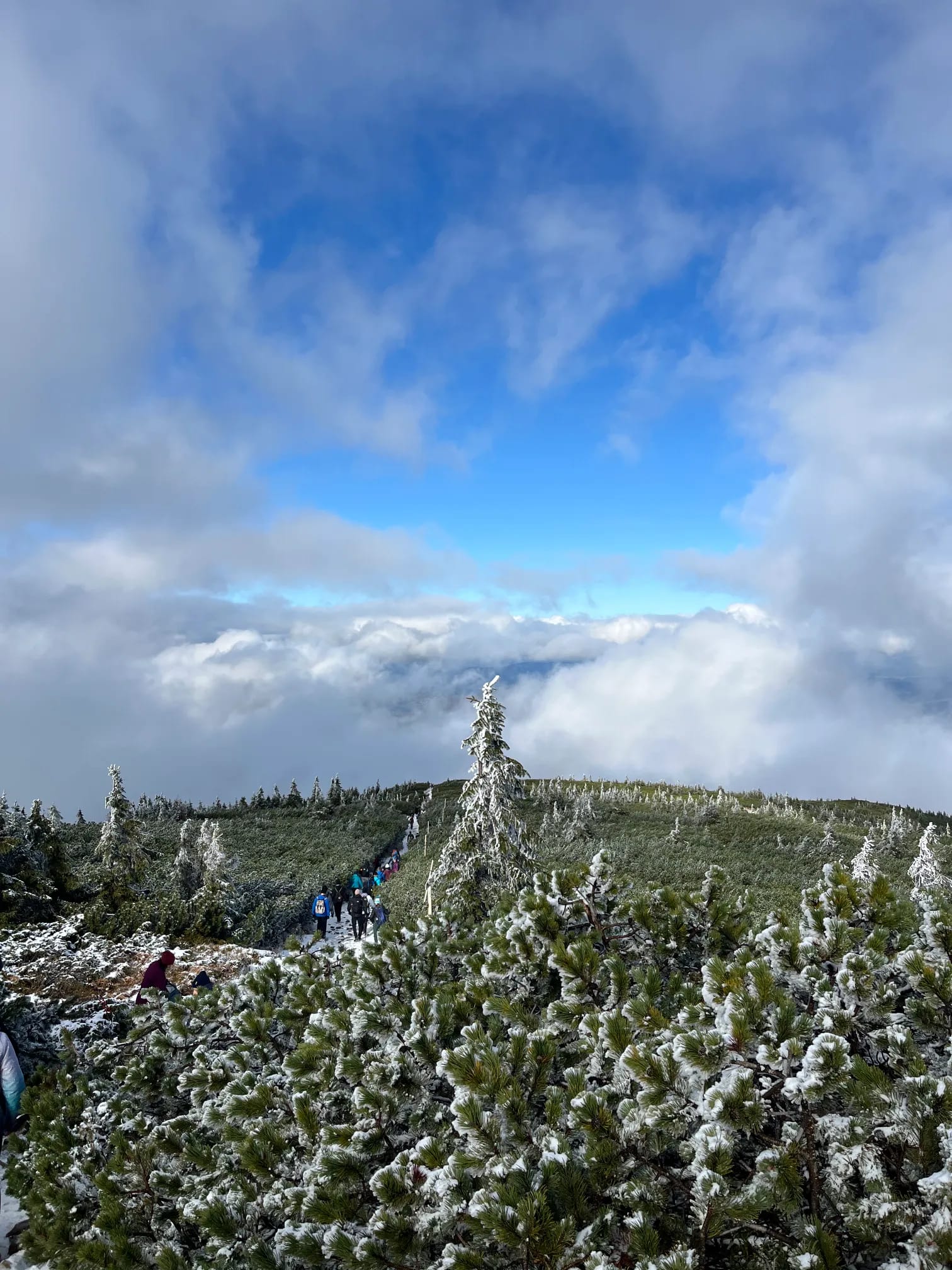 Ostatni odcinek przed szczytem