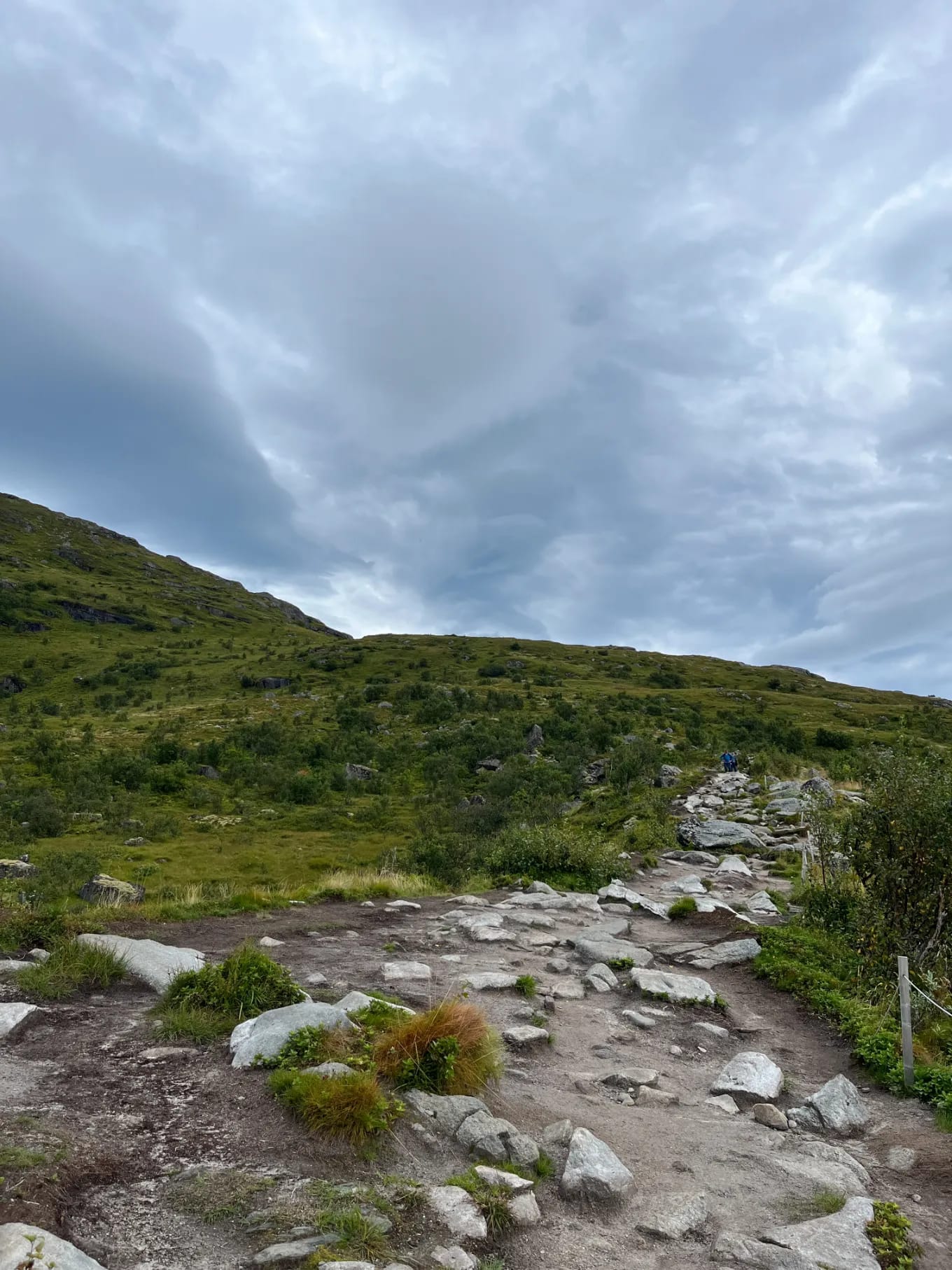 Górska ścieżka na Lofotach prowadząca przez malowniczy krajobraz