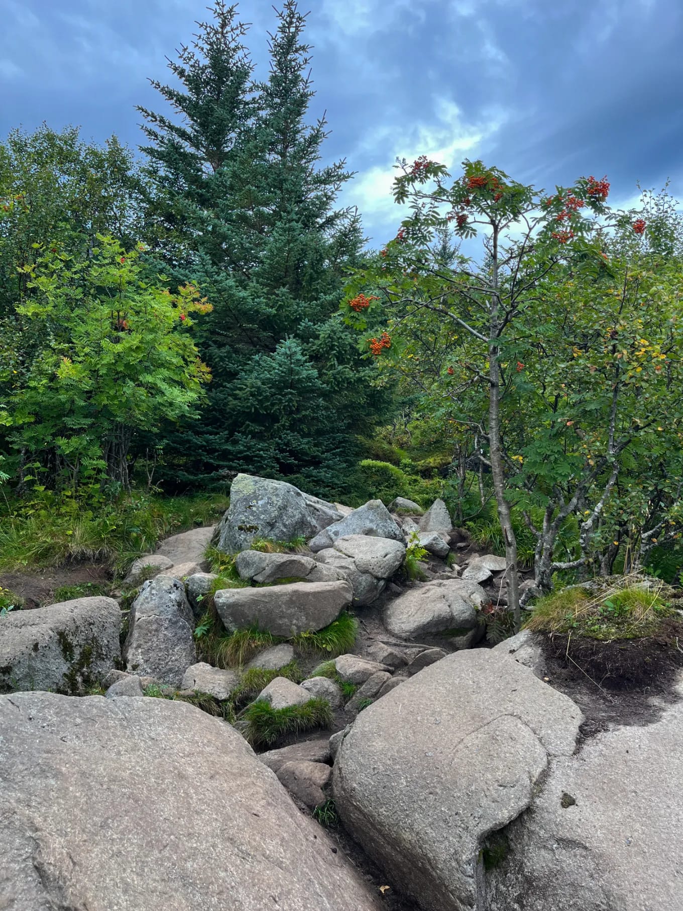 Kamienny szlak z drewnianymi kładkami prowadzący na Ryten