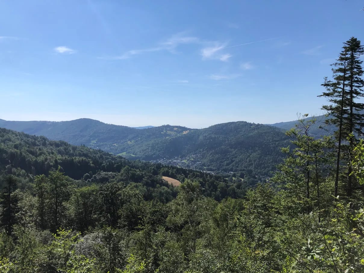 Fragment szlaku niebieskiego